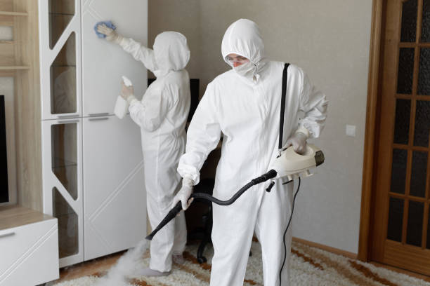 Mold Remediation for Rental Properties in Oblong, IL